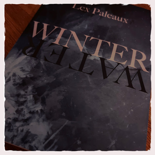 Boekomslag Winterwater, Lex Paleaux