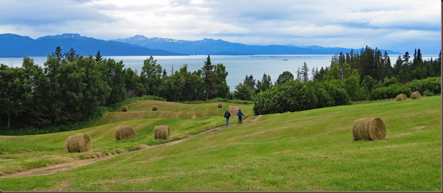 Homer AK111-24 Jul 2018