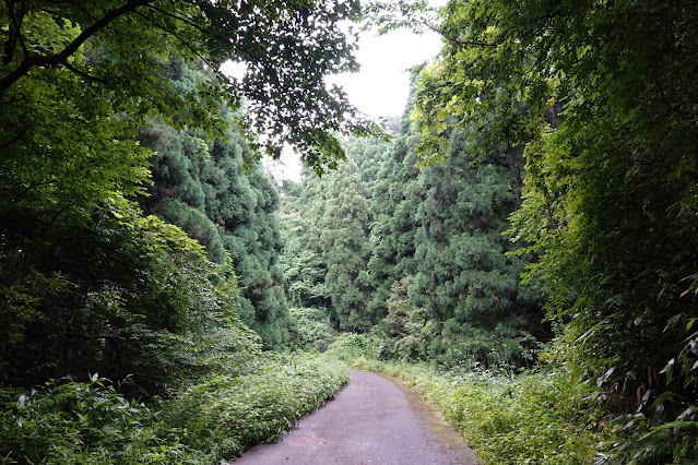 鳥取県西伯郡大山町赤松 赤松池