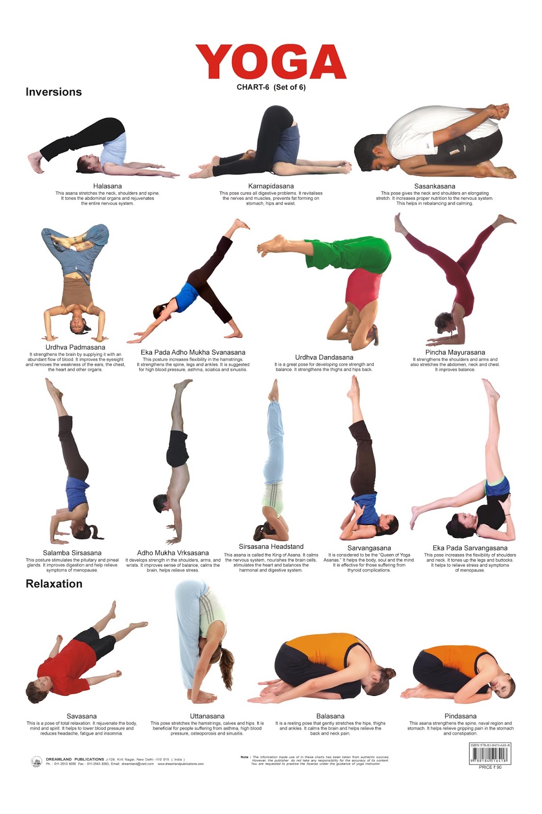 Yoga Poses For Beginner - coordstudenti