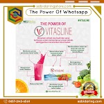 Vitasline - Herbal Solusi Detoks Pencernaan