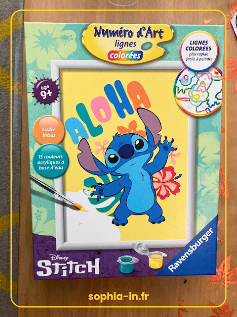 Image de la boîte pour peindre Stitch