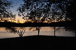 DSC_0056
