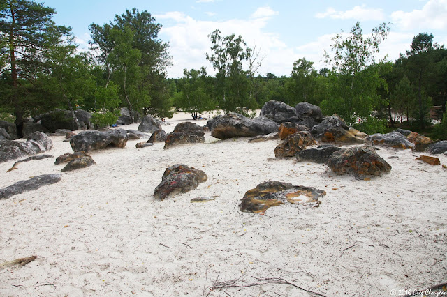 Aux portes des Sables du Cul de chien, les étanges rochers orangers du 91.1 Trois Pignons, (C) Greg Clouzeau