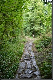 DSC_0047