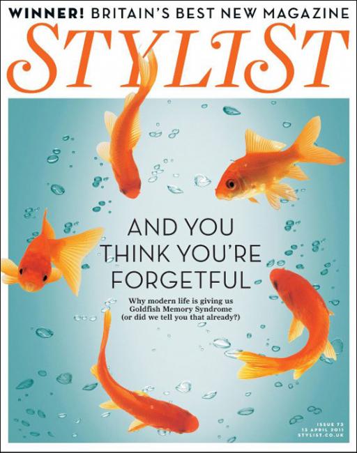 Stylist Goldfish Cover