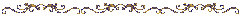 barra4