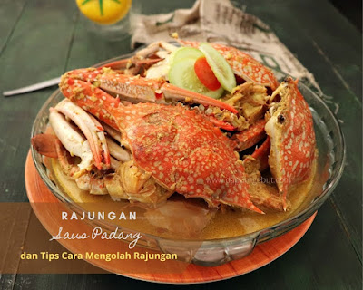 rajungan saus padang