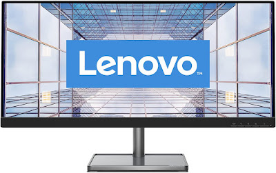 Lenovo L29w-30