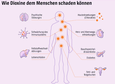 mögliche Schäden Dioxinvergiftunng