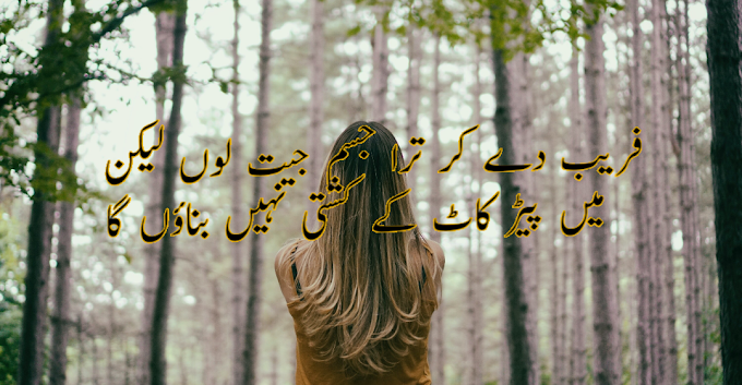 Faraib De kar tera jism jeet lon lekin 2 lines by Tehzeeb Hafi