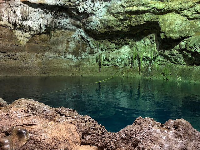 cenote tankach-ha coba mexico