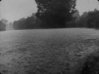 El río bajo la lluvia