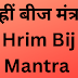 ह्रीं बीज मंत्र | Hrim Bij Mantra |