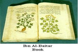 Sabily Ibn-AlBaytar