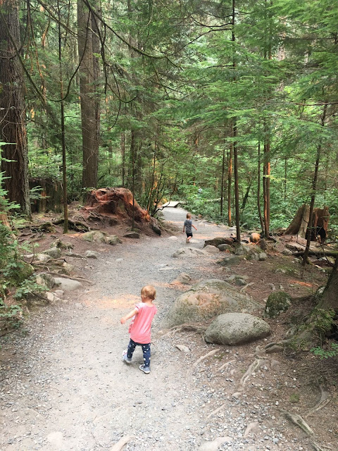 lynn-canyon