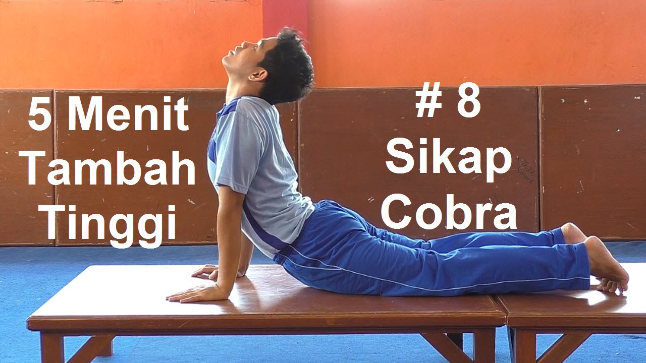 4 Jenis Olahraga Untuk Menambah Tinggi Badan Nomor 3 Luar 