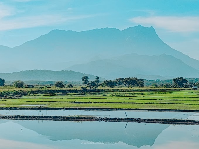 Dari Kampung Sangkir Ke Tamu (Pasar) Kota Belud