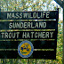 Fish Hatchery, Sunderland, MA
