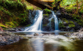 stream