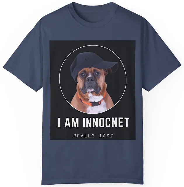 T-Shirt With Funny Innocent Boxer Dog Wearing Black Cap and Caption IA am Innocent, Really I Am?
