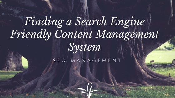 Finding a Search Engine Friendly Content Management System