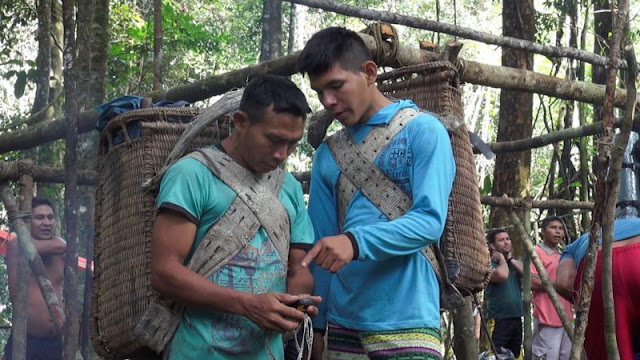 O projeto Ecoturismo Yaripo, desenvolvido pelos Yanomami com o apoio do ISA, deve pôr um fim à restrição. A partir de 2018, a trilha deverá ser reaberta e a administrada pelos próprios Yanomami. Com acesso controlado, os turistas poderão aprender um pouco da cultura indígena, desfrutar de sua hospitalidade e se juntar na aliança em defesa dos direitos indígenas e da floresta amazônica.

Em meados de julho, foi concluída a primeira etapa do projeto: uma expedição composta por 32 pessoas caminhou durante 10 dias ao cume doYaripo, como os Yanomami chamam o Pico da Neblina, a fim de investigar e mapear as condições da trilha. Além de seu Carlos, 18 Yanomami integraram a equipe, sendo 16 rapazes e duas mulheres, Maria e Floriza. Eles estão se capacitando para fazer o monitoramento da trilha e trabalhar como guias, carregadores, cozinheiros, além de gerir empreendimento de ecoturismo que pretendem desenvolver ali. Também participaram da viagem representantes do ICMbio, Funai, Ministério Público Federal e Exército.