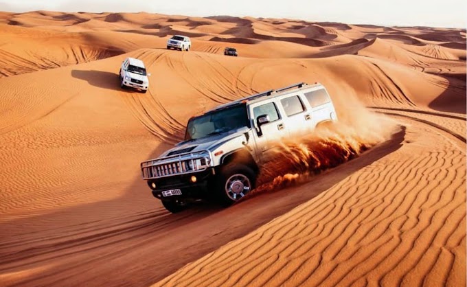 Best New Year 2023 Desert Safari Dubai Deals 59 AED Promo