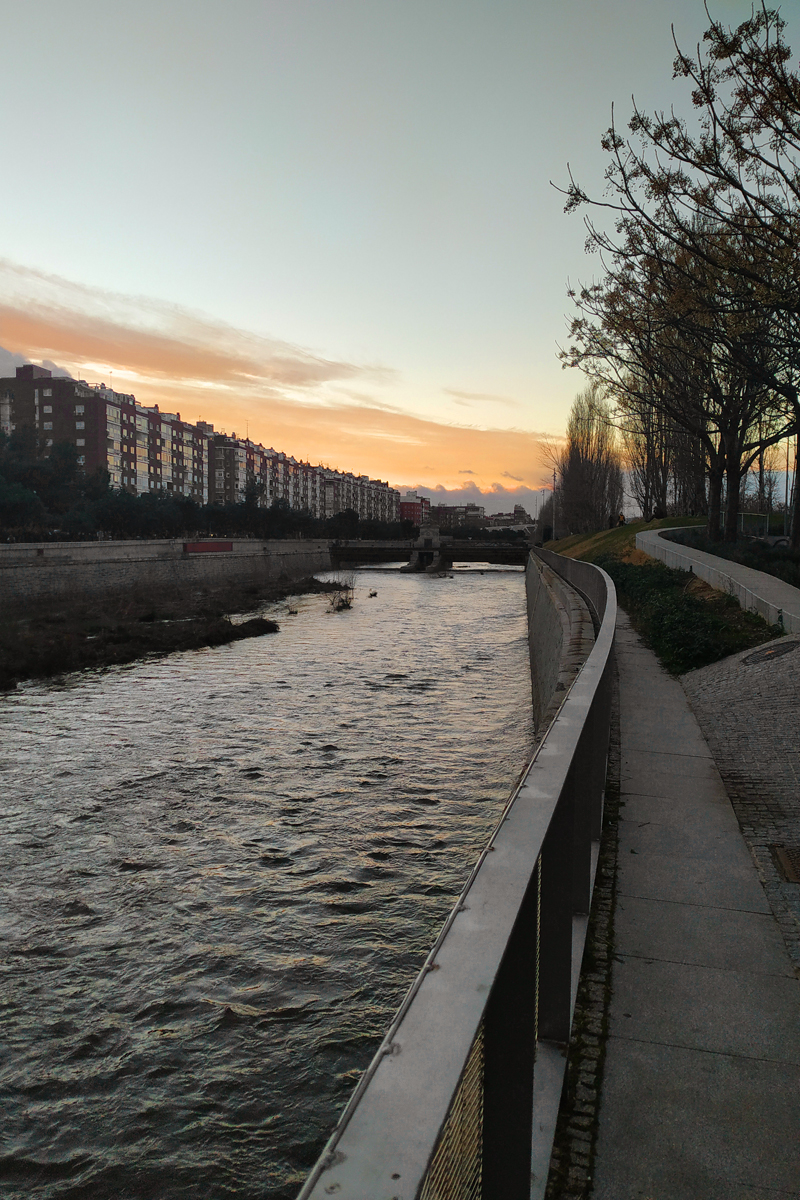 FEBRERO: PASEOS AL ATARDECER, ARANJUEZ Y NUEVO PROYECTO FOTOGRÁFICO