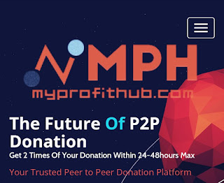myprofithub.com