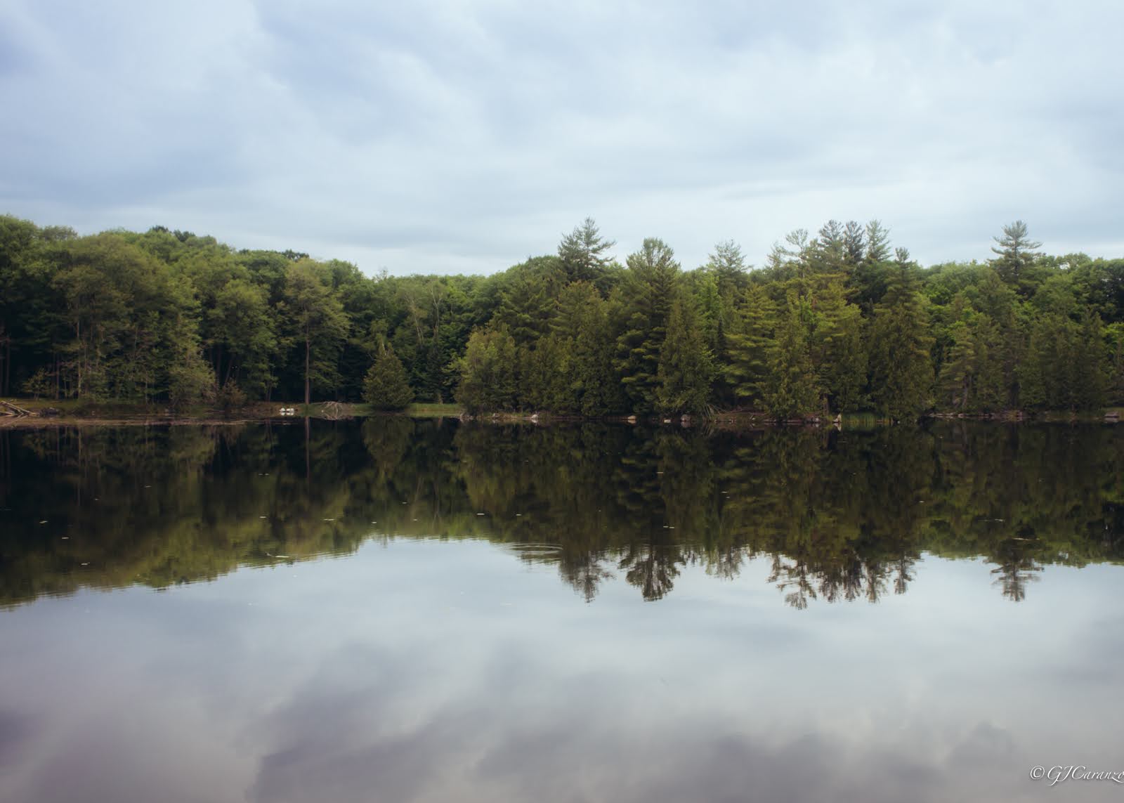 Morris Island Conservation Area: A Short Day Trip from Ottawa, Ontario