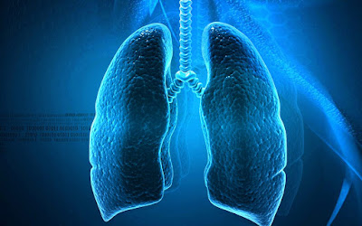 penyakit paru paru menular