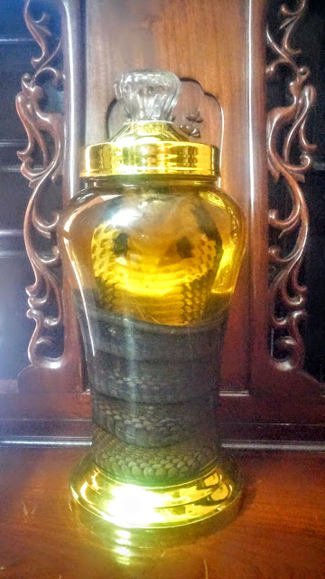 snake wine