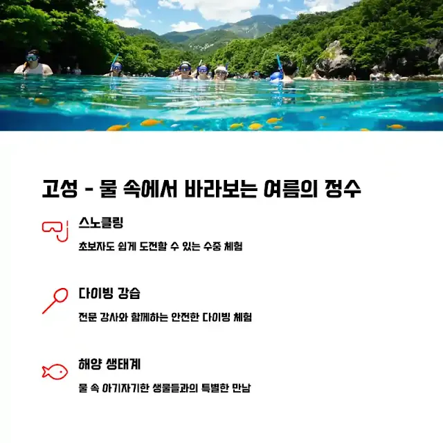 고성 - 물 속에서 바라보는 여름의 정수