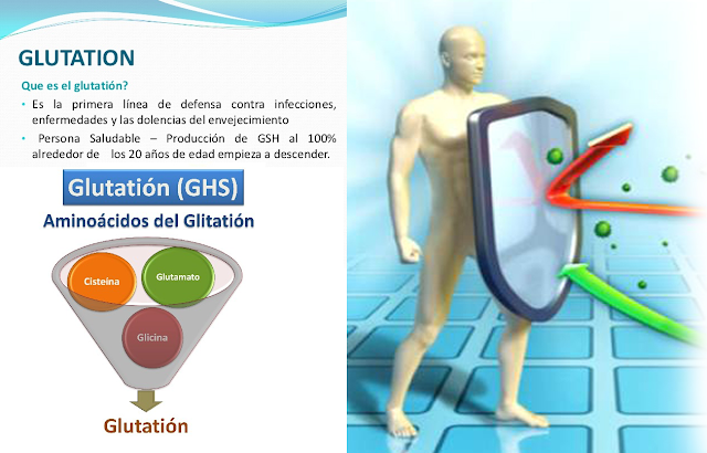 ¿Qué es el Glutatión y Por Qué lo Necesitamos?