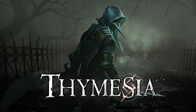 How to play Thymesia with a VPN