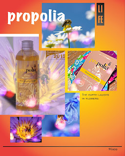 shampoing propolis abeilles soins cheveux 