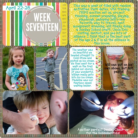 week 17a copy