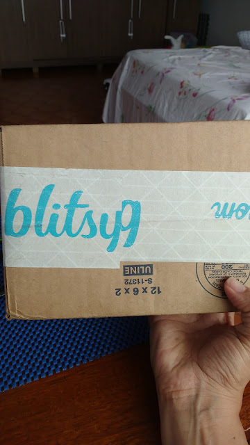 Unboxing e Compras na Loja Blitsy