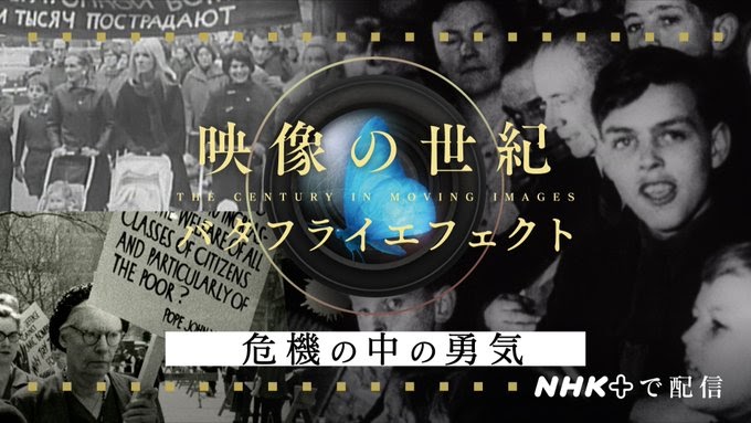 進行中の国家的危機の中で保護動物をサポートするための 6 つの救命方法