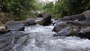 Paniisan: Keheningan, Sungai Jernih, dan Warisan Alam yang Terlupakan di Lereng Halimun Sukabumi