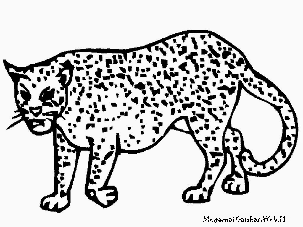 Mewarnai Gambar Cheetah Mewarnai Gambar