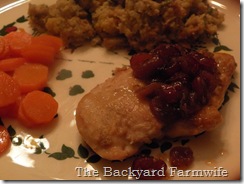 cran chicken 04