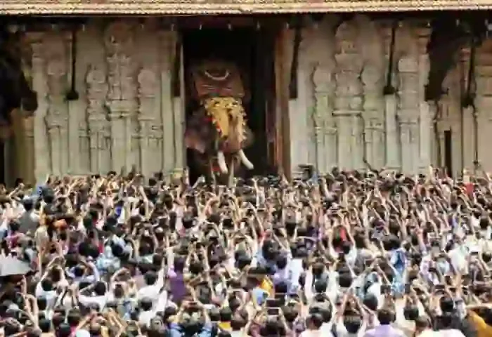 News, Kerala, Thrissur Pooram, Thrissur, Temple, Festival, Drinking Water, Thrissur Pooram: Keep these things in mind to avoid dehydration.