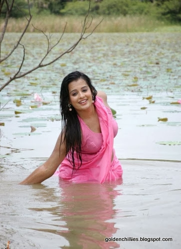 wet saree pictures hot 