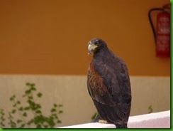 P1130640