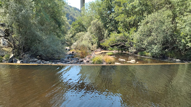 Ponte de Frades