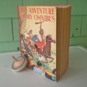 Cowboy Adventure Book