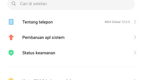 Cara Masuk ke Mode Pengembang di MIUI 12 Xiaomi 