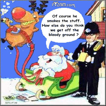 Funny Christmas Pictures